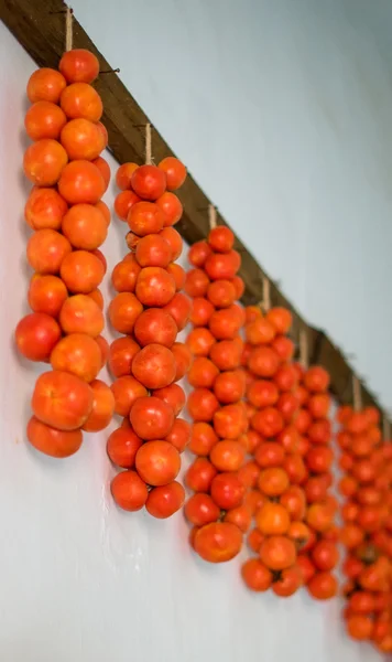 Portret van lekkere verse opknoping tomaten. — Stockfoto