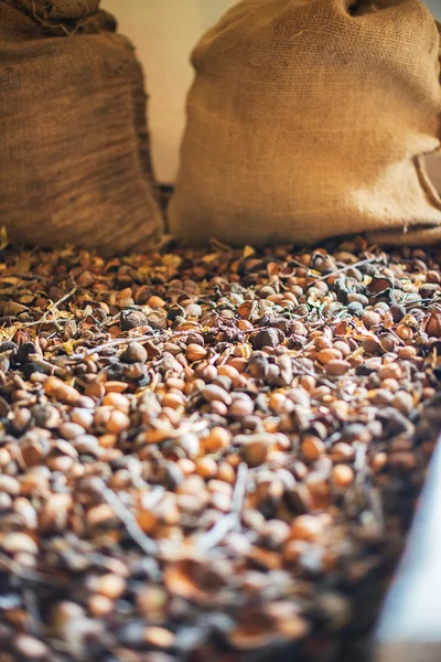 Close-up view of almonds. Freshly harvested nuts. — Stock Photo, Image