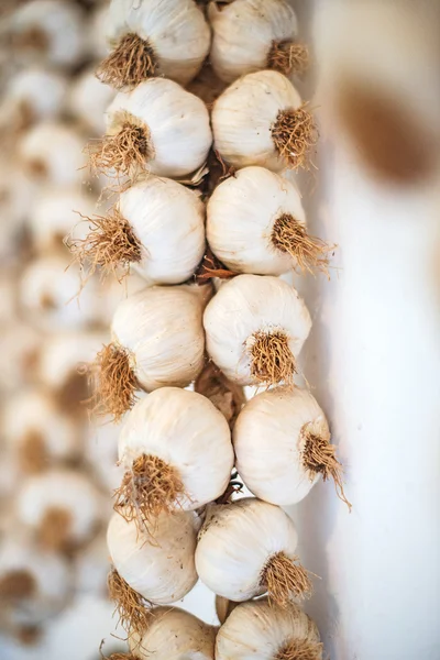 Портрет висячих сушених часникових цибулин . — стокове фото