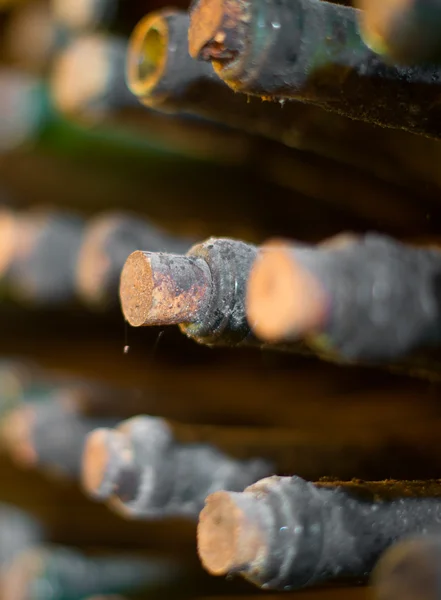 Montón de botellas de vino polvorientas muy viejas . — Foto de Stock