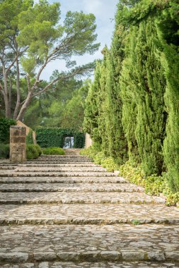 Taş merdiven ağaçları Park ile.