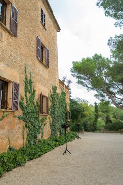 Eski konak ağaçları ile bölüm.