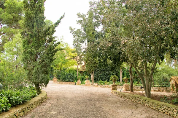 Estrada de cascalho com árvores no parque . — Fotografia de Stock