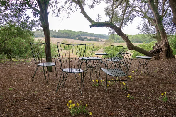 Üres kávézó terasz külső székekkel. — Stock Fotó