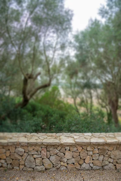 Projeto de parede de pedra no fundo da natureza . — Fotografia de Stock