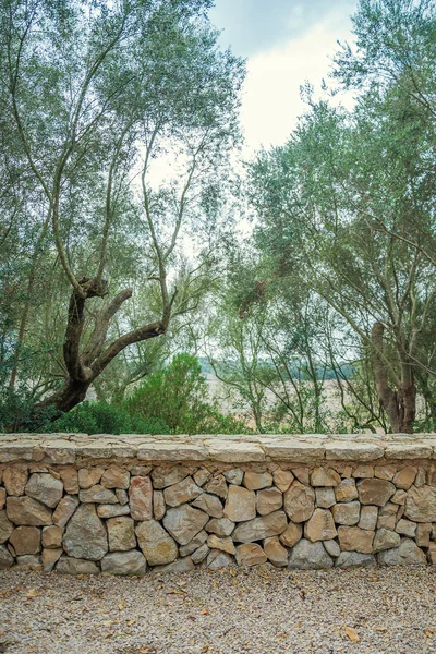 Stone wall design on nature background. — Stock Photo, Image
