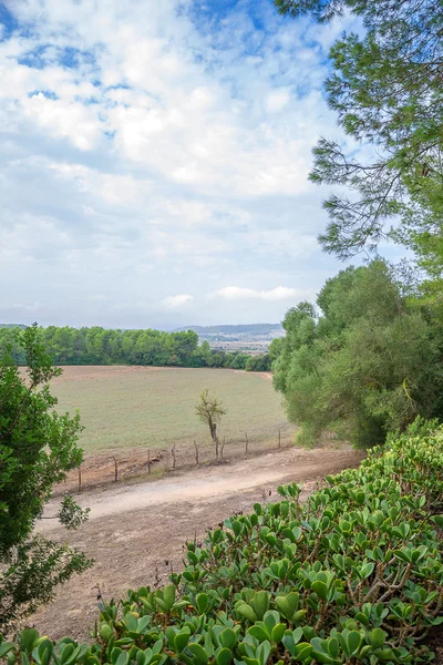 Portret van veld-en boslandschap . — Stockfoto