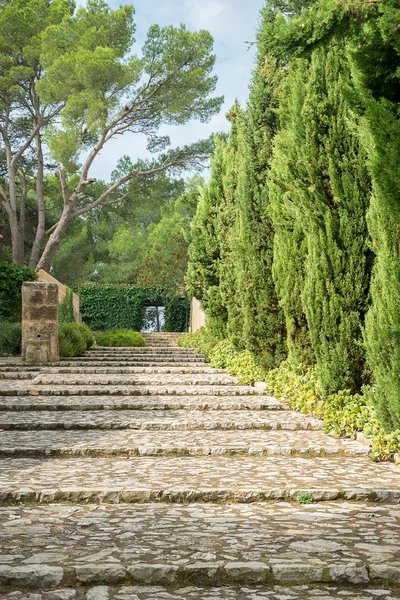 公園に木と石の階段. — ストック写真