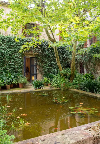 Courtyard with pond and trees with dense foliage. — Stock Photo, Image