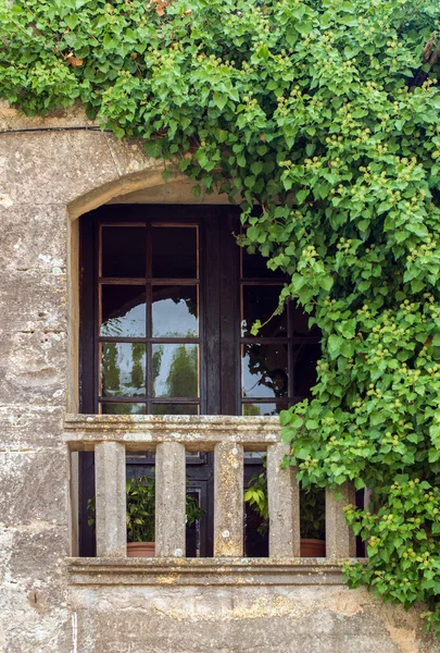 Close-up view of antique balcony with foliage. — Stock Photo, Image