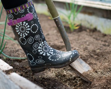 Woman's leg digging soil in greenhouse. clipart