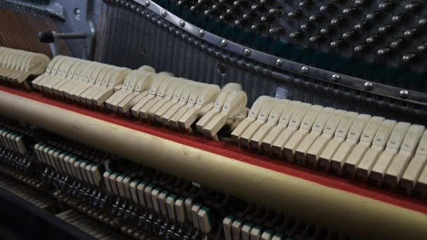 À l'intérieur du piano. Marteaux cordes frappantes . — Video