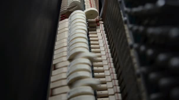 Всередині піаніно. Хаммерс вражає струни . — стокове відео
