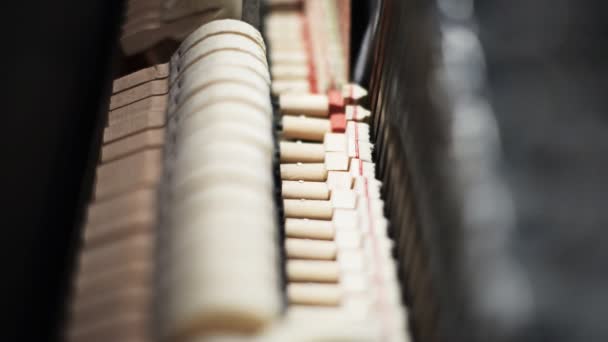 À l'intérieur du piano. Marteaux cordes frappantes . — Video