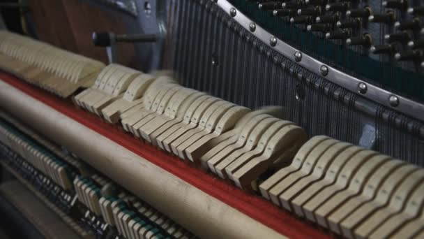 Inside the Piano. Hammers striking strings. — Stock Video