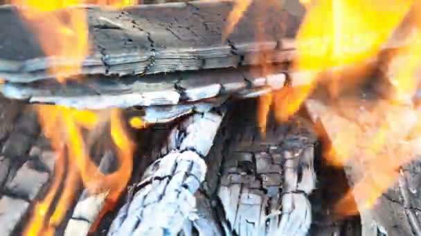 Горение древесины и угля в камине. — стоковое видео