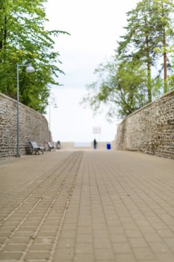 Denize giden patika mesire.