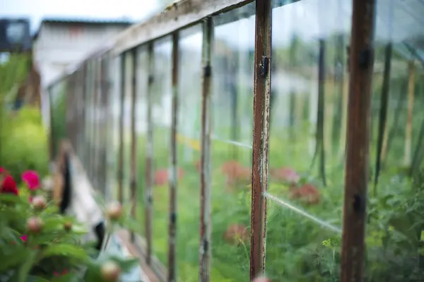 A régi része a kertben üvegház. — Stock Fotó