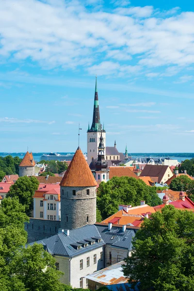 Summer view of old city. Estonia, Tallinn. — Stock Photo, Image