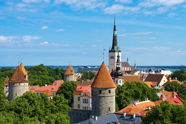 Summer view of old city. Estonia, Tallinn. — Stock Photo, Image