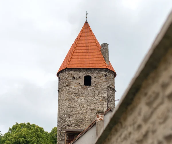 Vue en perspective de la tour et du mur du vieux château . — Photo