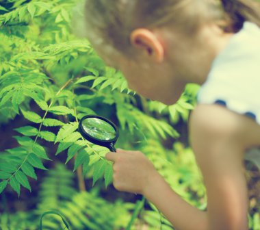 Küçük kız Büyüteç aracılığıyla doğa inceleyerek.
