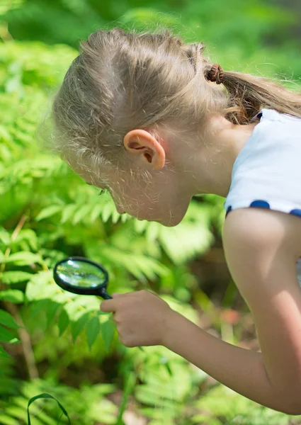 Menina examinando a natureza através da lupa . — Fotografia de Stock