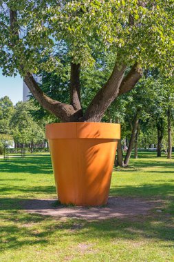 Ağaç sokakta küvette.