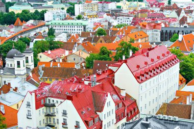 Evler eski Tallinn içinde kırmızı ve turuncu çatı.