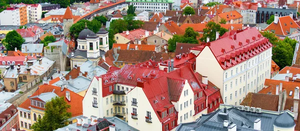 Eski Tallinn içinde kırmızı çatılar ile evler.