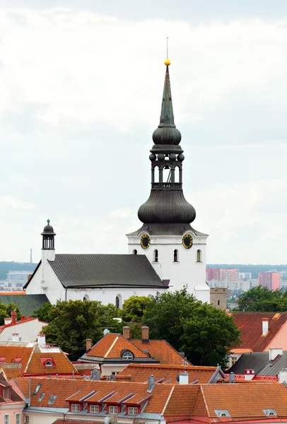 Saint Mary's Cathedral in old Tallinn. — Stock Photo, Image