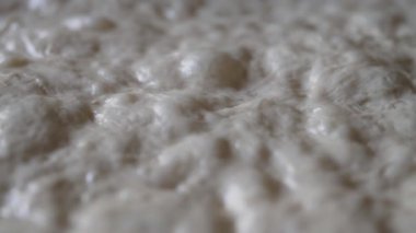 Ham Focaccia Hamur Yapısı Fermantasyon Hava Kabarcıkları.