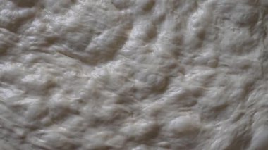 Ham Focaccia Hamur Yapısı Fermantasyon Hava Kabarcıkları.