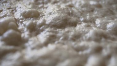 Ham Focaccia Hamur Yapısı Fermantasyon Hava Kabarcıkları.