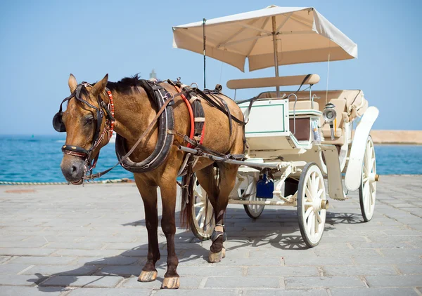 Horse and vintage carriage on the pier near the sea. — Stock Photo, Image