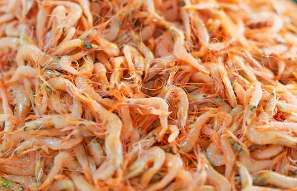 Pile of raw shrimps in fish market. — Stock Photo, Image