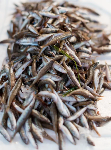 Bir sürü taze balık piyasada.