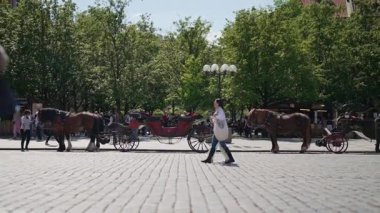 Prag, Çek Cumhuriyeti - 12.05.2025: Eski Şehir Meydanı 'nda at arabası.