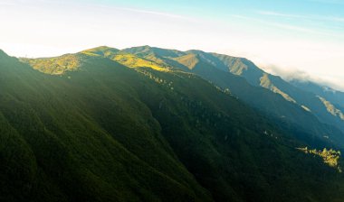 Güneşli yeşil dağ sırtları berrak gökyüzünün altında.