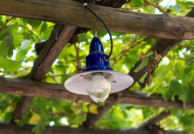 Bahçedeki ekonomik sarmal ışık.