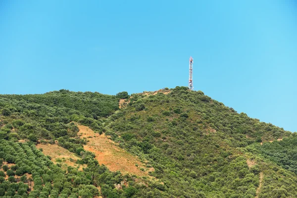 Tropical mountain hill with trees and bushes. — Stock Photo, Image