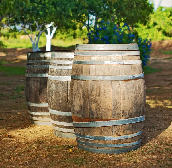 Tres barricas de vino en el jardín . — Foto de Stock