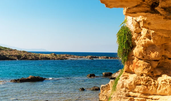 Mar Mediterráneo con verde playa rocosa . —  Fotos de Stock