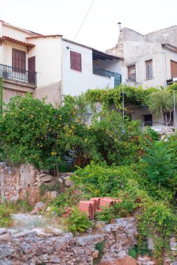 Kirli eski terk edilmiş evde büyümüş çalılar ile.