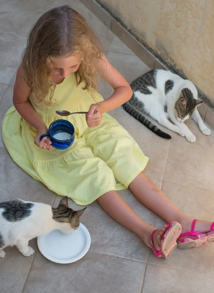 Cute little girl feeding two cats. — Stock Photo, Image