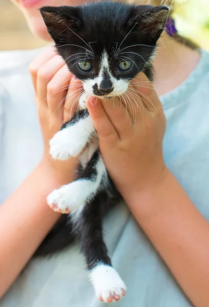 Mały kotek trzymając się za ręce dziecka. — Zdjęcie stockowe