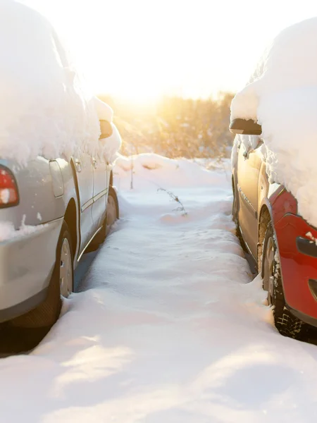 Samochody pokryte śniegiem zimą. — Zdjęcie stockowe