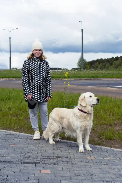 Pandemia de coronavirus en la ciudad. chica caminando un perro golden retriever a lo largo de calles vacías —  Fotos de Stock