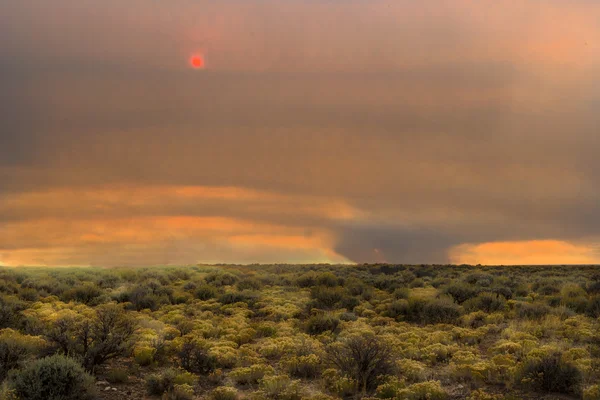 Зона пустыни с пожаром вдалеке — стоковое фото