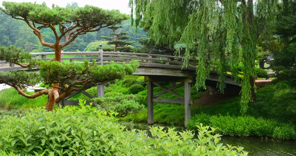 Wooden bridge in Garden — Stock Photo, Image